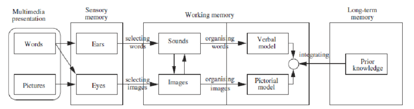 het model Cognitieve multimediatheorie van Richard Mayer Mayers-Cognitive-Theory-of-Multimedia-Learning-Mayer-2010
