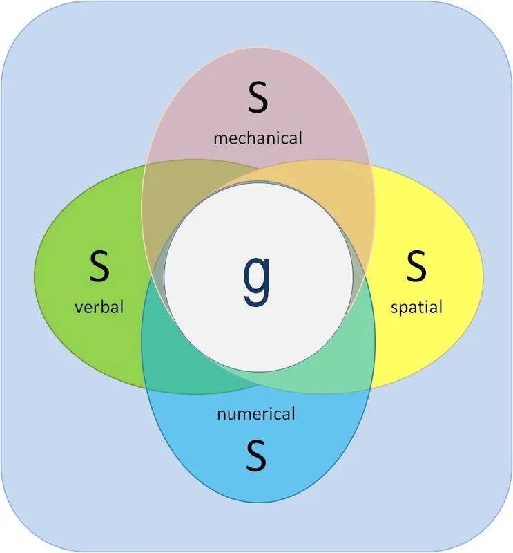 intelligentie-IQ-Genceeneral intelligence-G-of-Cognitief-vermogen-eenmeesterinleren.nl