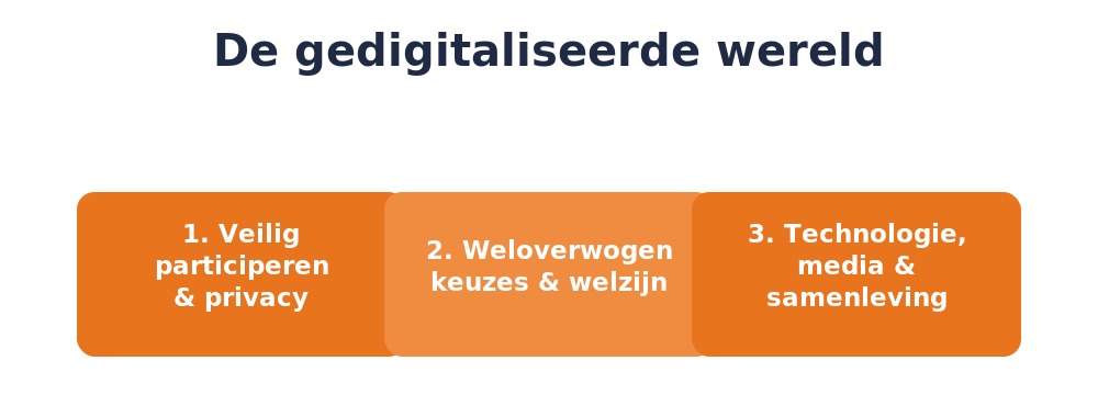 De drie onderdelen van de gedigitaliseerde wereld: veilig participeren en privacy, weloverwogen keuzes en welzijn, en technologie, media en samenleving - Eenmeesterinleren.nl