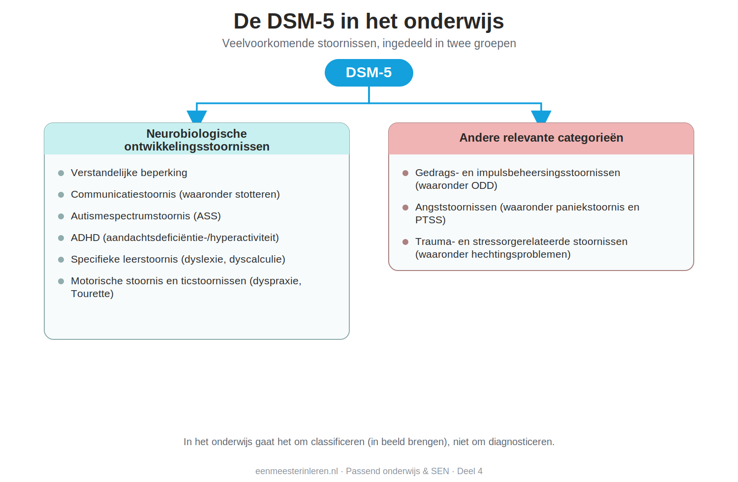 Overzicht van de DSM-5-categorieën in het onderwijs: neurobiologische ontwikkelingsstoornissen en andere relevante categorieën met voorbeelden.